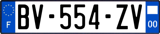 BV-554-ZV