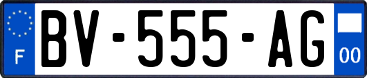 BV-555-AG