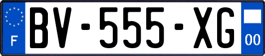 BV-555-XG
