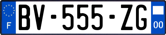 BV-555-ZG