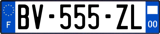 BV-555-ZL