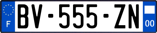 BV-555-ZN