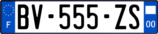 BV-555-ZS