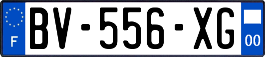 BV-556-XG