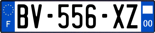 BV-556-XZ