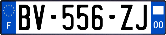 BV-556-ZJ