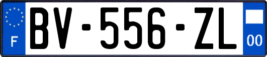 BV-556-ZL