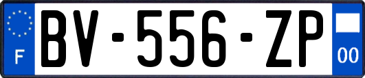 BV-556-ZP