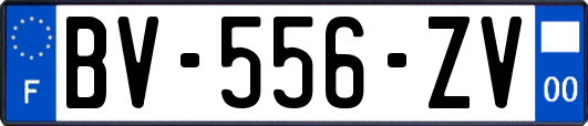 BV-556-ZV