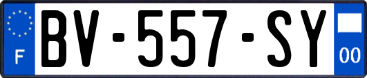 BV-557-SY