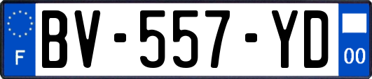 BV-557-YD