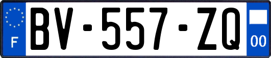 BV-557-ZQ