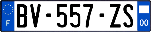 BV-557-ZS