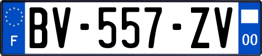 BV-557-ZV