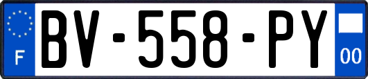 BV-558-PY