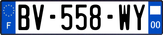 BV-558-WY