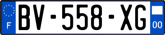 BV-558-XG