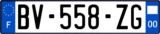 BV-558-ZG