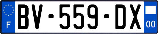 BV-559-DX