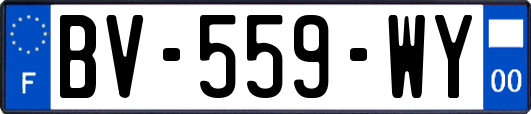 BV-559-WY