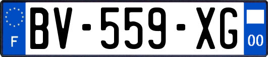 BV-559-XG