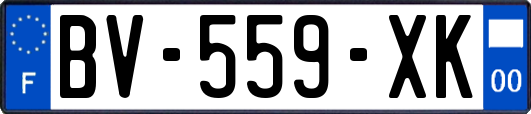 BV-559-XK