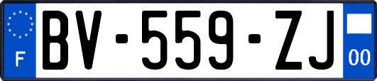 BV-559-ZJ