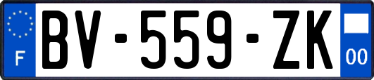 BV-559-ZK