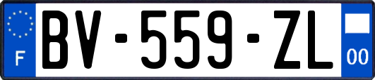 BV-559-ZL