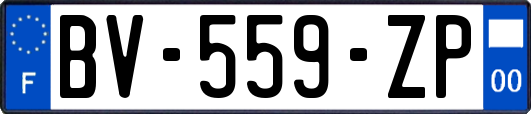 BV-559-ZP