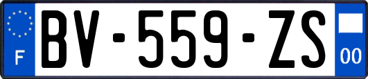 BV-559-ZS