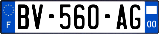 BV-560-AG