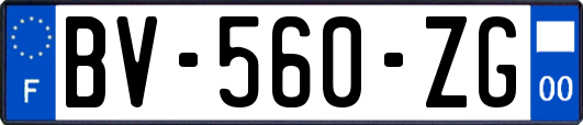 BV-560-ZG