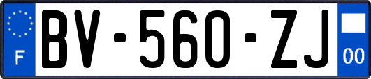 BV-560-ZJ