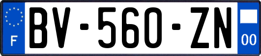 BV-560-ZN