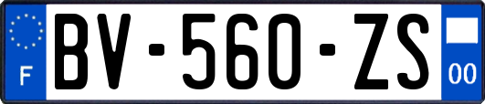 BV-560-ZS