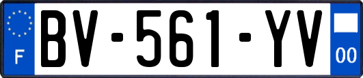 BV-561-YV