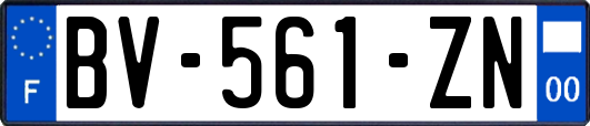 BV-561-ZN