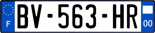 BV-563-HR