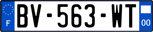 BV-563-WT