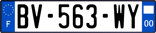 BV-563-WY