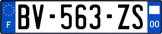 BV-563-ZS