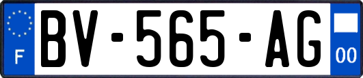 BV-565-AG