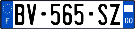 BV-565-SZ