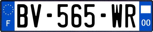 BV-565-WR