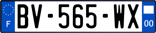 BV-565-WX