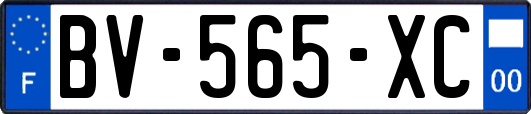 BV-565-XC