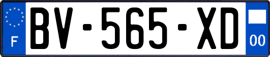 BV-565-XD