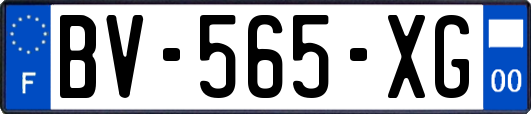 BV-565-XG