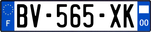 BV-565-XK